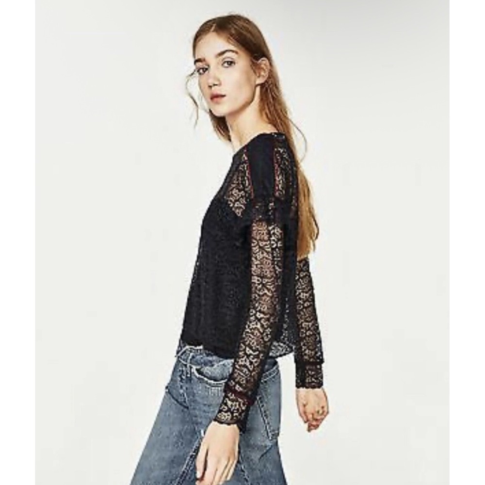 (B6) Zara Navy Blue‎ Floral Lace Long Sleeve Blouse Red Piping Sheer Top XS NWT
